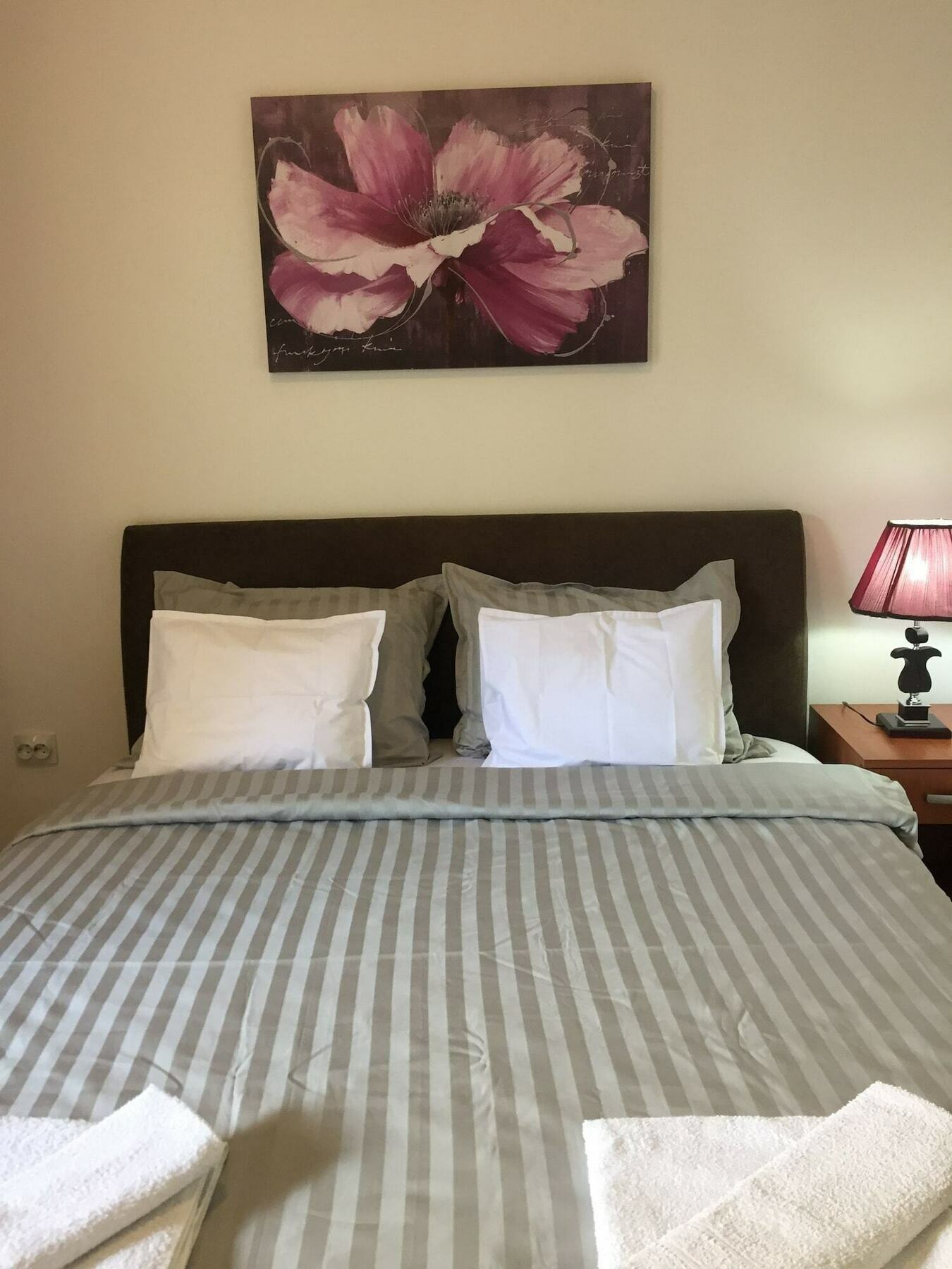Radovic Apartments 布德瓦 外观 照片